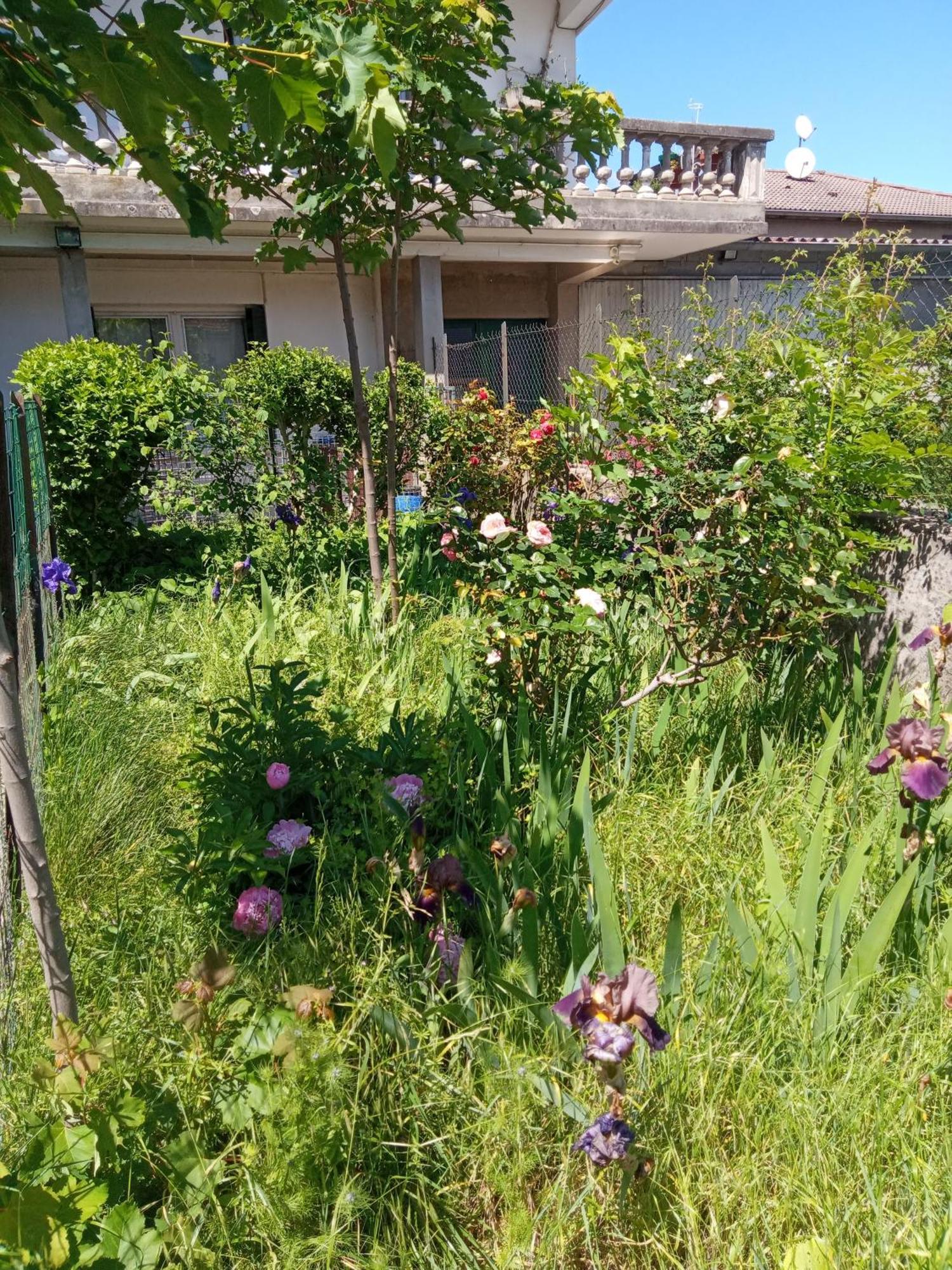 Rosalie Cottage Beaurepaire  Екстериор снимка