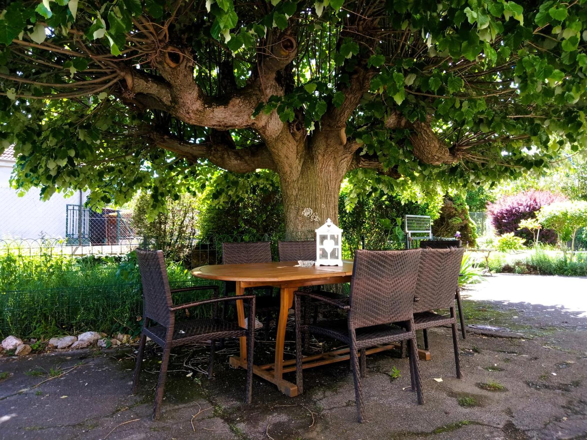 Rosalie Cottage Beaurepaire  Екстериор снимка