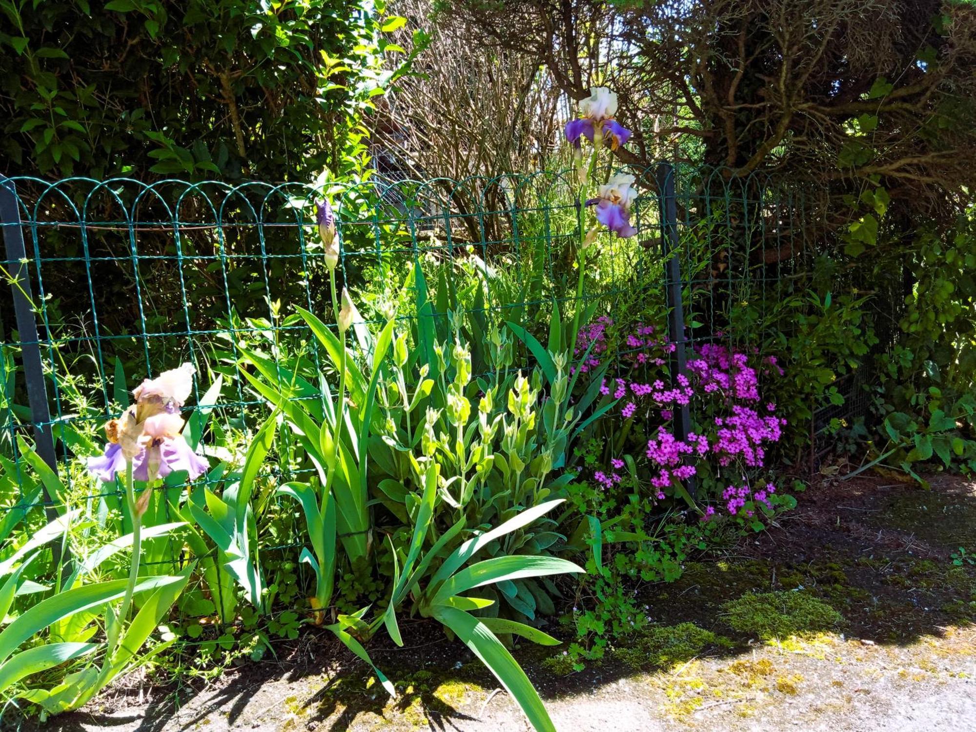 Rosalie Cottage Beaurepaire  Екстериор снимка